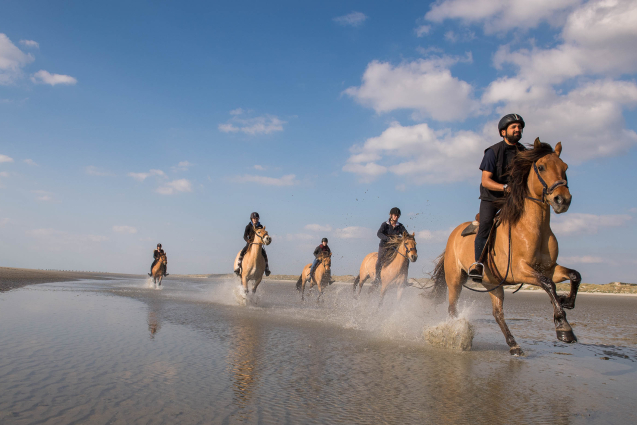 Clap de fin des audits 2023 : 65 nouveaux professionnels labellisés !