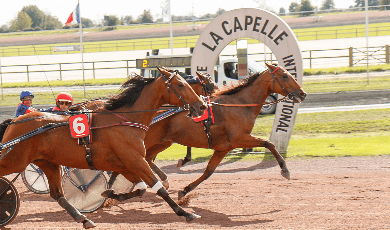 couverture course